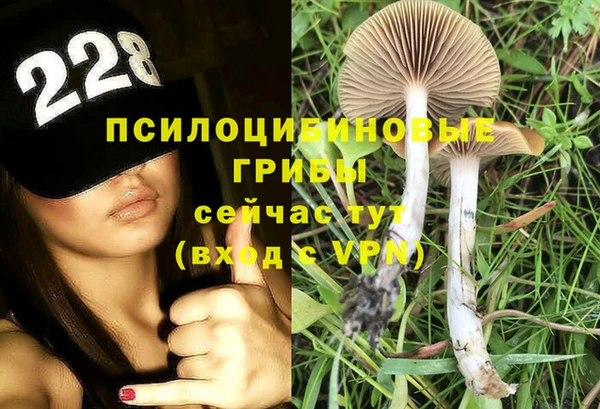 mdpv Лиски