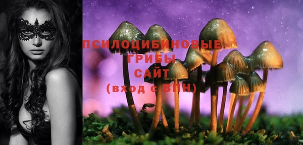 мдпв Липки